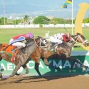 King Arthur beats Calculus in Caymanas Park feature Loop Jamaica
