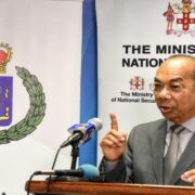 House approves report of joint select committee on Firearms Act Loop Jamaica