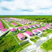 Govt actively seeking to acquire more land from State agencies for housing – Croal