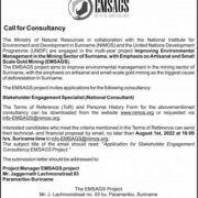 Stakeholder Engagement Specialist
