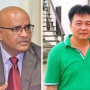 Vice President sues Chinese businessman Su Zhirong for defamation, slander