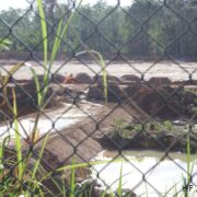 La justice annule le permis de construire d’EDF pour la centrale électrique du Larivot Guyaweb, site d’information et d’investigation en Guyane
