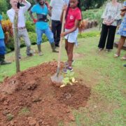 Plantons des arbres pour sauvegarder la yole traditionnelle