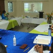 Saint Lucia Makes Important Strategic Steps To Protect Its Local Forest Land – St. Lucia Times News