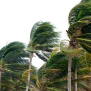 Met Service messages: What do they mean? Loop Jamaica
