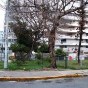 Legislador insta a vigilar acciones futuras del municipio de San Juan respecto a venta de parque en Condado