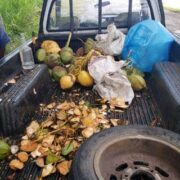 New Grant man in court for dumping coconut shells on roadside
