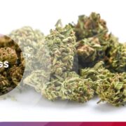 Jamaicans get jail time in Bahamas for ganja farm Loop Jamaica