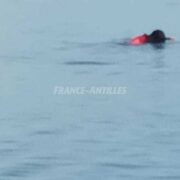 Le corps d’un jeune homme a été retrouvé en mer à Baie-Mahault