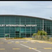 ‘TJ’ attempts to flee island 3 weeks after guns found at premises Loop Jamaica