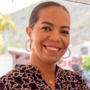 MP De Weever: Issues at GEBE a matter of national security now – StMaartenNews.com – News Views Reviews & Interviews