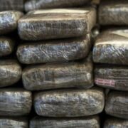 Over $100m worth of ganja seized on Portmore toll, businessman held Loop Jamaica