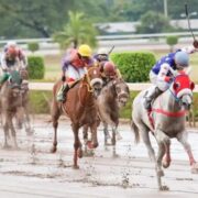 Mahogany to star in feature race Loop Jamaica