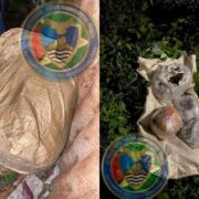 Over 19kg ganja found during CANU operations