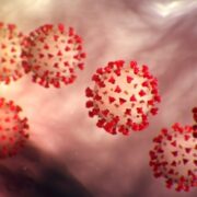 Covid19: Five more dead, 187 new infections