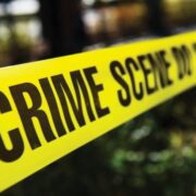 Miner dies after being pinned by falling tree