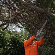 Menos del 10 por ciento de Ponce está energizado, reclama alcalde