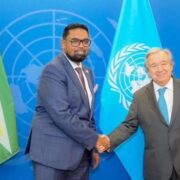 Ali, UN SG discuss food & energy security, int’l financing system