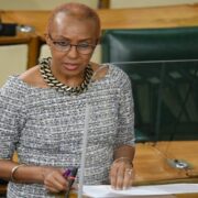 Education Minister urges partnership between parents and schools Loop Jamaica