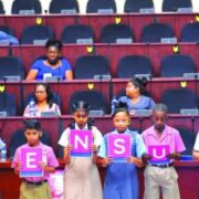 Census is a tool for national development – Pres Ali