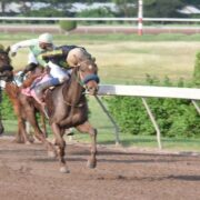 Thegoodlife, Silent Mission deliver for trainer Jason DaCosta Loop Jamaica