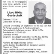Lloyd Nikita Goedschalk