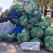 Plastic Free Cayman collects 1,150 pounds of garbage at Colliers Beach Loop Cayman Islands