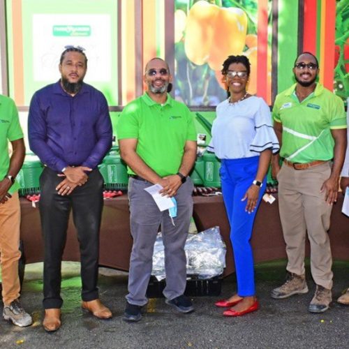 Apply to BADMC – ‘Different farmers have different needs’ Loop Barbados ...
