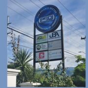 PSOJ calls for effective short-term crime strategies to contain crime Loop Jamaica