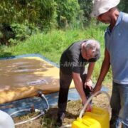 L’eau de la rivière Beaugendre rendue potable à Vieux-Habitants