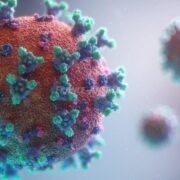 Covid-19 en Guadeloupe: dixième semaine consécutive de chute des contaminations mais deux décès