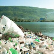 GK, volunteers remove over 37k pounds of garbage from Kingston Harbour Loop Jamaica