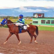 Don’t oppose Mahogany in None Such Sprint Loop Jamaica