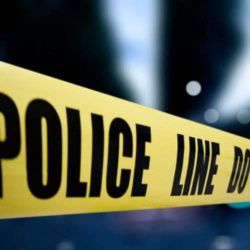 UPDATE Murder at the Pillar Rock Hotel TEMPO Networks