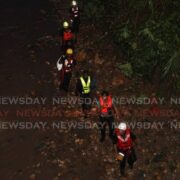 Search for woman swept away in floods – NO SIGN OF THERESA