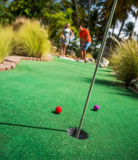 diviresorts_14255895_ImageSmallWidth